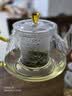 青苹果玻璃家用泡茶壶煮茶2026新款加厚耐高温烧水壶泡花茶专用茶水分离 春韵黄把泡茶壶800ML 实拍图