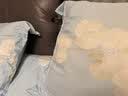 CKULH德国希尔顿五星级酒店同款羽绒枕头鹅绒睡眠枕芯枕头护颈枕颈椎病 150支白鹅绒枕低枕【经典白】 A类 一对 16*48*74cm 希尔顿同源枕芯｜皇家织造标准|整夜呵护肩颈睡眠 实拍图