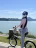 大行（DAHON）折叠自行车配件车座p8k3坐垫公路车座鞍单车减震座椅14-24寸通用 大坐垫【棕色】 实拍图