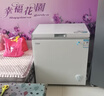北极熊（BEIJIXIONG）冰柜家用冷柜小型一级能效全冷冻冷藏两用卧式储奶母乳速冻保鲜节能省电100升/200升/300升 单门单温228升【一级能效 全国联保】 228L 实拍图