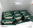 方家铺子冻干红枣莲子银耳羹即食480g/箱（30小袋）60秒冲泡营养即食代餐 实拍图