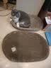 【京东物流】猫抓板磨爪猫窝一体耐磨不掉屑超大号猫玩具猫咪用品 圆形超大号+猫薄荷 实拍图