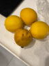 小博生鲜四川 安岳黄柠檬 新鲜水果 酸爽多汁泡水生鲜 2斤 实拍图