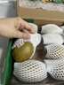 佳沛（zespri）新西兰 金果12粒特大果单果124-146g 端午节礼物水果礼盒 猕猴桃 实拍图