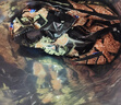 西麦低脂纯黑麦片450g 高纤健身代餐即食谷物早餐麦片无添加蔗糖 实拍图