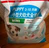 皇家狗粮 幼犬奶糕幼犬狗粮宠物中型犬MES30 全价犬粮 ≤2月 1KG 实拍图