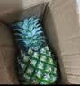 【东东农场专供】广东徐闻香水菠萝生鲜水果非凤梨精选大果 1个装【1.3-2斤】单果650g起 实拍图