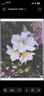 爱普生（EPSON）L3355 L3353打印机家用小型彩色照片墨仓式连供L3351 L3251 L3253无线复印A4一体机作业试卷学生用 【推荐】3355/3351 (重磅新品 全面升级) 官方标 实拍图