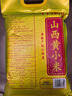 十月稻田 山西黄小米5斤 25年新米 小米黄小米 小米杂粮 早餐 粥 节日送礼 实拍图