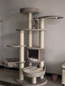 兽牌森林猫爬架大型猫树猫窝一体豪华剑麻猫架太空舱缅因大猫四季适用 森林【经典款】 实拍图