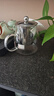 金灶（KAMJOVE）泡茶壶飘逸杯耐热玻璃茶具功夫办公室花茶壶茶水分离杯茶壶A-02 实拍图