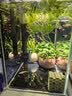 森森耀蓝鱼缸壁挂式过滤器YBF-500外置过滤桶【鱼便分离+过滤升级】6W 实拍图