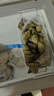 澳柯玛（AUCMA）208升单温冷柜家用减霜冰柜冷藏柜冷冻柜小型冷柜卧式顶开冰箱一级能效 BC/BD-208HNEV【价保618】 实拍图