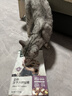 网易严选全价猫粮4.0 宠物主粮成幼猫无谷鲜肉美毛护肠胃 鸡肉羊奶味1.5kg 实拍图