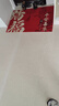 布迪思入户门地垫 进户门口垫子 可裁剪吸水防滑进门脚垫120*80CM 实拍图