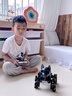 科学怪兽AI机器狗遥控汽车儿童玩具男孩变形机器人生日61六一儿童节礼物 实拍图