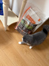 instinct天然百利进口猫粮无谷三文鱼美毛通用猫粮4.5kg【27.8】 实拍图