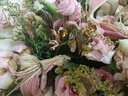 花艺湾鲜花同城配送玫瑰百合花束表白送女友老婆闺蜜生日礼物店 感恩妈妈-33朵粉玫瑰粉康乃馨9朵粉百合混搭 全国同城配送 留言送花日期 实拍图