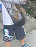 柏鲨 钓鱼竿套装组合手竿海竿鱼杆新手鱼具钓鱼装备全套渔具垂钓用品 3.6+4.5手竿+2.4海竿+(全套渔具) 实拍图