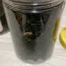 小叶苦丁茶特级2026嫩芽正宗贵州苦丁新茶叶降i血压血糖泡水喝 【饮食偏油 熬夜党清爽调理】 125g*2罐 实拍图