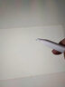 Apple/苹果 Pencil Pro 磁吸触控笔手写笔苹果笔电容笔书写绘画ipad笔 适用于iPad Pro/Air/mini机型 实拍图