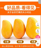 京喜加海南鲜芒果小台水果芒果新鲜上市 带箱2斤净重1.7斤70g 实拍图