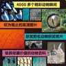 DK动物大百科 小学书单 书单 书单科普启蒙自主阅读课外读物科普百科 6-14岁小猛犸童书    实拍图