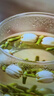 贡苑金丝皇菊花茶枸杞王莲子芯20包搭三伏去心决明子泡水火养生茶120g 实拍图