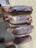 顺丰包邮新鲜现杀10斤腱子肉整根切割前后腱低脂全腱生鲜食材 5斤腱子 实拍图