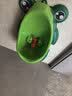 马博士儿童小便器男孩小便池站立式男童小便斗宝宝尿尿神器坐便器 青蛙 实拍图