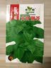 河南大叶荆芥种子菜籽阳台盆栽蔬菜种子农家四季播种荆菜春播春季 大叶荆芥种子【2包 约2千粒】 实拍图