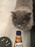 kronenbourg 1664【周翊然同款】百香果味啤酒330ml*9瓶小麦风味精酿整箱装啤酒 实拍图