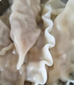 必品阁（bibigo）韩式泡菜王水饺1800g 约72只 早餐夜宵速冻饺子京东独家家庭装 实拍图