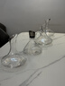 京东京造 红酒醒酒器 家用快速分酒器葡萄酒醒酒壶大容量1950ml 实拍图