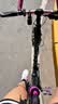 大行（DAHON）P8折叠自行车经典成人20英寸8速折叠车男女式运动单车KBC083 消光灰绿【JD定制版】 实拍图