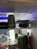 喜力经典啤酒 麦芽浓度11.4 330ml*24听整箱装  婚宴喜酒送礼踏春送礼 实拍图
