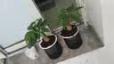 奥智嘉换装娃娃六一儿童节女孩玩具3-6岁公主屋洋娃娃手提包套装 实拍图