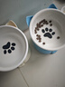 憨憨乐园猫碗陶瓷猫粮双碗斜口狗碗狗盆狗粮宠物幼猫咪吃饭食盆喝水喂食 实拍图