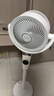 艾美特（AIRMATE）【小暴风PRO】空气循环扇家用大风力摇头电风扇卧室安静轻音小风扇桌面台式节能落地扇电扇 X231 实拍图
