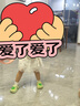 牧童儿童拖鞋夏男宝宝洞洞鞋软底女童卡通洗澡婴幼儿家居鞋奶龙绿160 实拍图