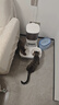 Orijen渴望猫粮 成猫幼猫粮 全价通用无谷原味鸡肉进口1.8kg效期27/1 实拍图