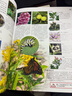 DK探索百科 生命 植物王国+斑斓昆虫+哺乳动物+人体秘密 中小学生课外书 青少年暑期推荐读物 实拍图