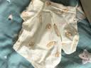 尼多熊儿童内裤女童内裤中大童A类平角纯棉婴儿不夹pp透气四角裤 实拍图