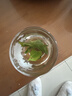 草木方花草茶 小叶苦丁茶250g 特级2026新茶嫩芽四川峨眉山头采明前茶叶 实拍图