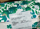 JaCe泰国原装进口乳胶枕颗粒按摩枕头成人枕头枕芯96%天然乳胶含量 实拍图