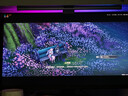 KTC 27英寸4K 160Hz双模320Hz满血HDMI2.1显示屏Type-c 90w办公HiDPI逐台校色电脑显示器大师27M1 MAX 实拍图