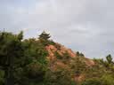 松下（Panasonic）Lumix G100D M43画幅相机 M43卡口 微单相机 无反数码相机 G100D+【12-60+25F1.7】双白盒套装 实拍图