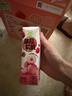 蒙牛真果粒白桃树莓味牛奶饮品240g×10盒 健康低脂 龚俊同款 实拍图