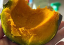 冉沃优选甘肃贝贝南瓜新鲜蔬菜软糯香甜细腻小南瓜粉糯轻食正宗南瓜 【优选装】净重 4.5斤 实拍图