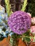 洁丽雅（Grace）洁丽雅浴巾10A抗菌全棉大人女男款大毛巾情侣款高级家用单条装 实拍图